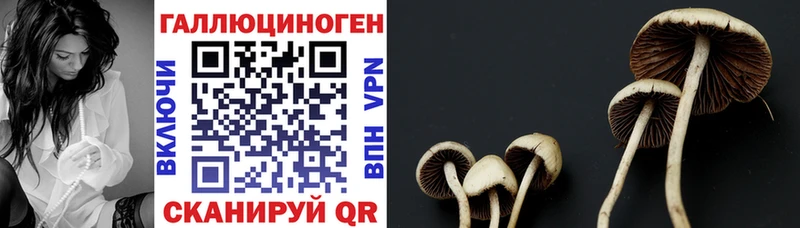 Псилоцибиновые грибы мухоморы Купить где Кизилюрт